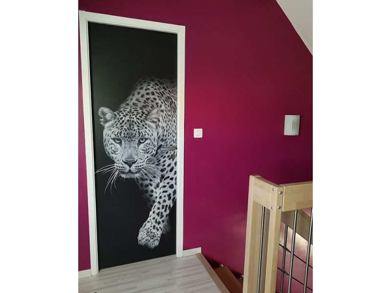 porte-animal-fond-blanc