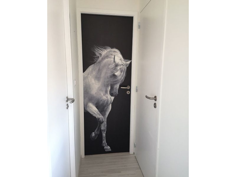 porte-cheval--fond-blanc